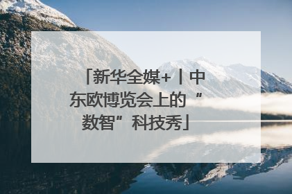 新华全媒+丨中东欧博览会上的“数智”科技秀