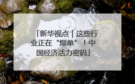 新华视点｜这些行业正在“爆单”！中国经济活力密码