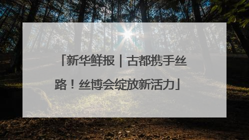新华鲜报｜古都携手丝路！丝博会绽放新活力