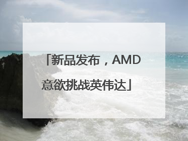 新品发布，AMD意欲挑战英伟达