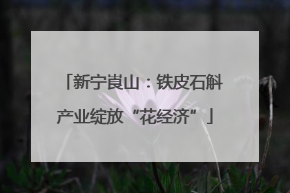 新宁崀山：铁皮石斛产业绽放“花经济”