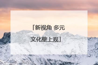 新视角 多元文化壁上观