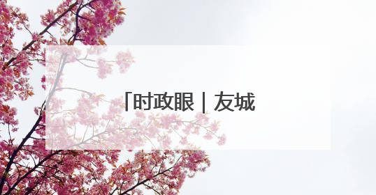 时政眼｜友城，友“诚”！