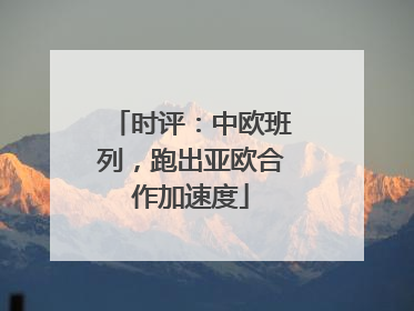 时评：中欧班列，跑出亚欧合作加速度