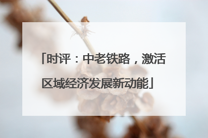 时评：中老铁路，激活区域经济发展新动能