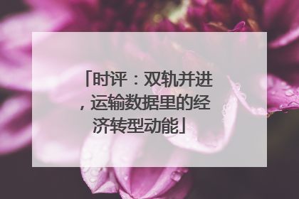 时评：双轨并进，运输数据里的经济转型动能
