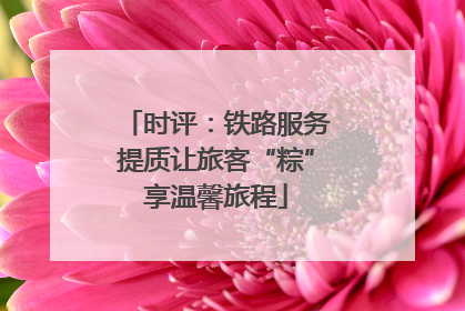 时评：铁路服务提质让旅客“粽”享温馨旅程
