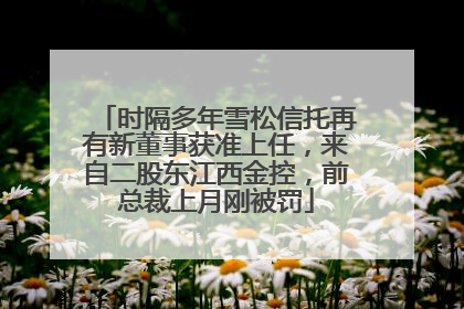 时隔多年雪松信托再有新董事获准上任，来自二股东江西金控，前总裁上月刚被罚