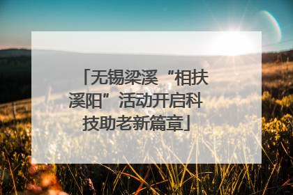 无锡梁溪“相扶溪阳”活动开启科技助老新篇章