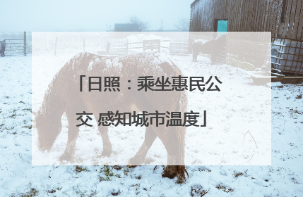 日照：乘坐惠民公交 感知城市温度