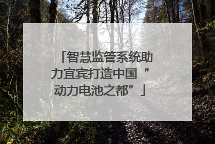 智慧监管系统助力宜宾打造中国“动力电池之都”