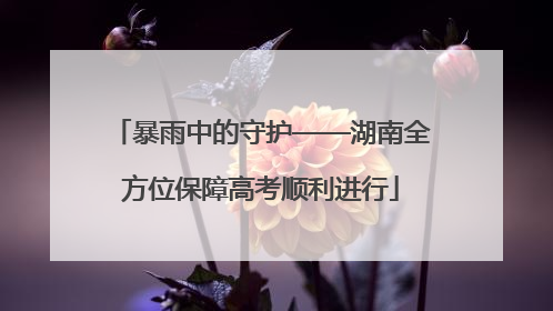 暴雨中的守护——湖南全方位保障高考顺利进行