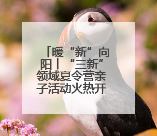 暖“新”向阳丨“三新”领域夏令营亲子活动火热开展