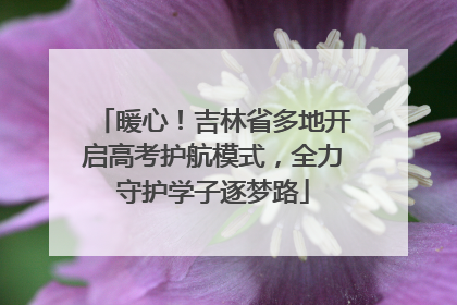 暖心！吉林省多地开启高考护航模式，全力守护学子逐梦路