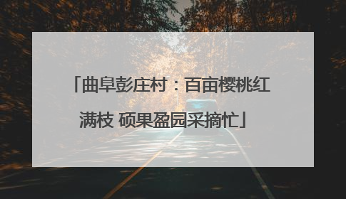 曲阜彭庄村：百亩樱桃红满枝 硕果盈园采摘忙
