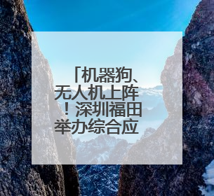 机器狗、无人机上阵！深圳福田举办综合应急演练护航十五运会