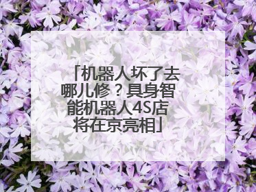 机器人坏了去哪儿修？具身智能机器人4S店将在京亮相