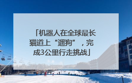 机器人在全球最长猫道上“遛狗”，完成3公里行走挑战