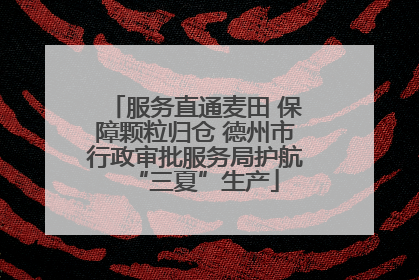 服务直通麦田 保障颗粒归仓 德州市行政审批服务局护航“三夏”生产