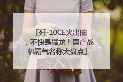歼-10CE火出圈，不愧是猛龙！国产战机霸气名称大盘点