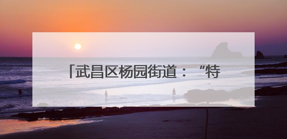 武昌区杨园街道：“特殊”踏青心相连 架起包容友爱“连心桥”