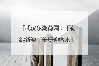 武汉东湖荷园：千荷绽新姿，美景迎客来