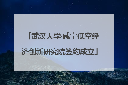 武汉大学·咸宁低空经济创新研究院签约成立