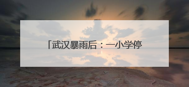 武汉暴雨后：一小学停课清淤，有商家称地下仓库数万元货物被泡