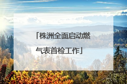 株洲全面启动燃气表首检工作