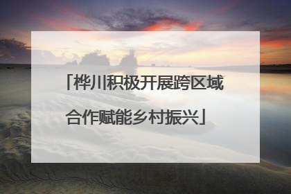 桦川积极开展跨区域合作赋能乡村振兴