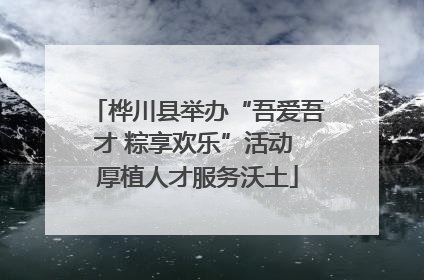 桦川县举办“吾爱吾才 粽享欢乐”活动 厚植人才服务沃土