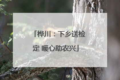 桦川：下乡送检定 暖心助农兴