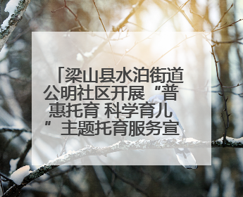 梁山县水泊街道公明社区开展“普惠托育 科学育儿”主题托育服务宣传活动