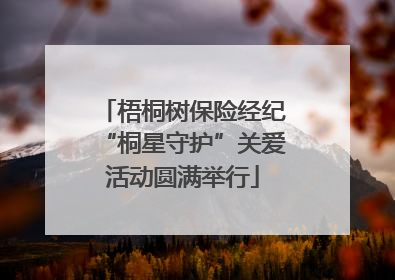 梧桐树保险经纪“桐星守护”关爱活动圆满举行