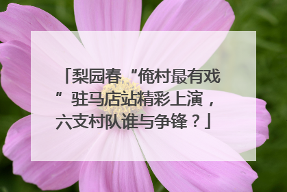 梨园春“俺村最有戏”驻马店站精彩上演，六支村队谁与争锋？