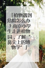 植物遇到危险怎么办？南京小学生走进植物园，了解“鼻尖上的博物学”