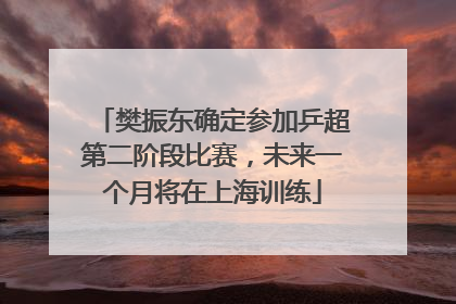 樊振东确定参加乒超第二阶段比赛，未来一个月将在上海训练