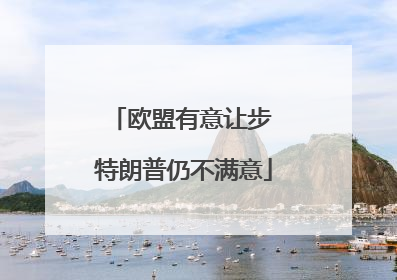 欧盟有意让步 特朗普仍不满意