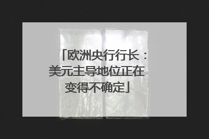 欧洲央行行长：美元主导地位正在变得不确定