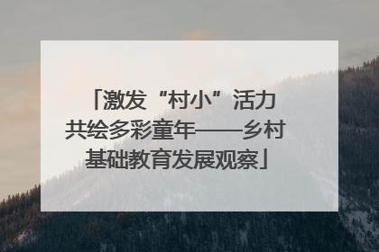 激发“村小”活力 共绘多彩童年——乡村基础教育发展观察