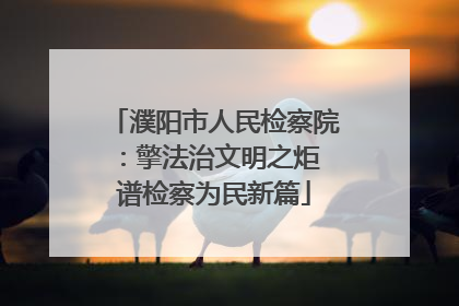 濮阳市人民检察院：擎法治文明之炬 谱检察为民新篇