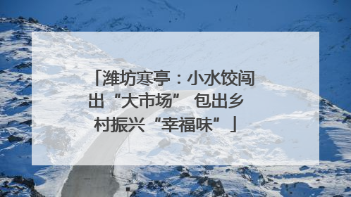 潍坊寒亭：小水饺闯出“大市场” 包出乡村振兴“幸福味”