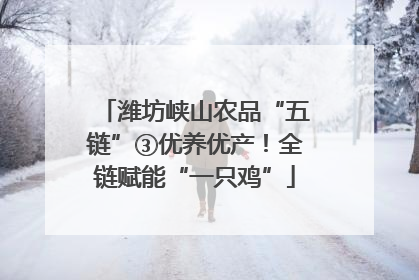 潍坊峡山农品“五链”③优养优产！全链赋能“一只鸡”