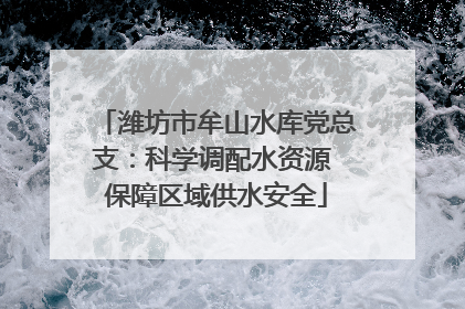 潍坊市牟山水库党总支：科学调配水资源 保障区域供水安全