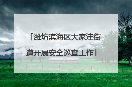 潍坊滨海区大家洼街道开展安全巡查工作