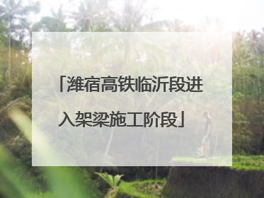 潍宿高铁临沂段进入架梁施工阶段