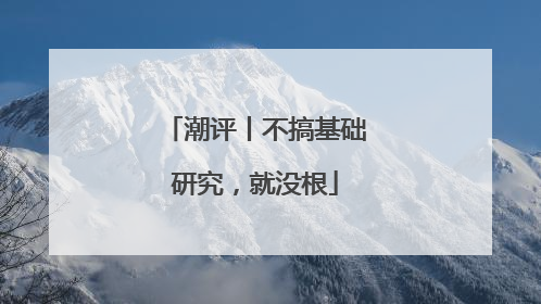 潮评丨不搞基础研究，就没根