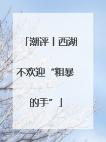 潮评丨西湖不欢迎“粗暴的手”