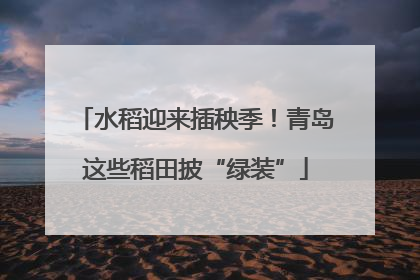 水稻迎来插秧季！青岛这些稻田披“绿装”