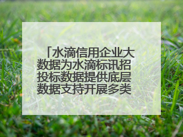 水滴信用企业大数据为水滴标讯招投标数据提供底层数据支持开展多类型服务